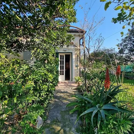 La Casa Dei Ricordi Tatil Evi *
